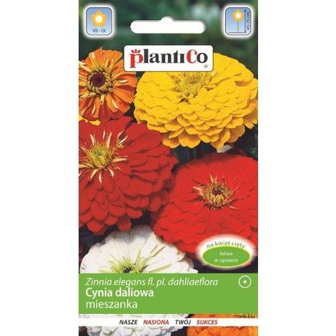 Graines de zinnia Platinet (Zinnia elegans) 1 G