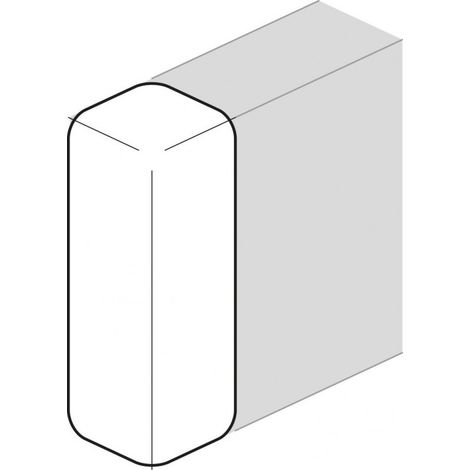 Embout queraz enclipsage direct p GBD50161 RAL 9010 blanc paloma (L43439010)