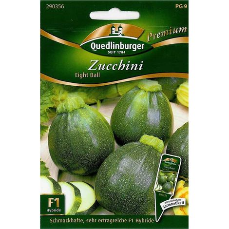Quedlinburger Zucchini Eight Ball - Gemüsesamen (1/2)