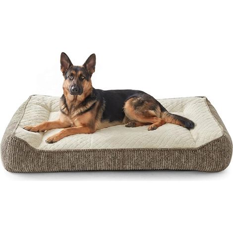 Panier Chien Grande Taille XXL Orthopédique, Coussin Chien Dehoussable Lavable, Canapé pour Chiens Antidérapant Velours Floconné Doux, Lit Chiens Soutien Extra Épais (1/5)