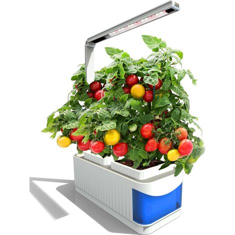 Kit de démarrage pour jardin d'intérieur avec système de culture hydroponique et éclairage LED réglable (blanc)