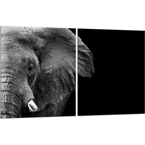 2 plaques de protection en verre pour cuisinière 40x52 éléphant (1/5)