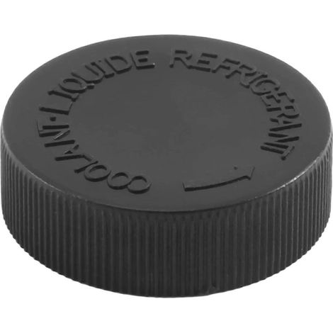 Bouchon du réservoir de trop-plein de liquide de refroidissement Murano Rogue Versa 21712-79900 (1/5)