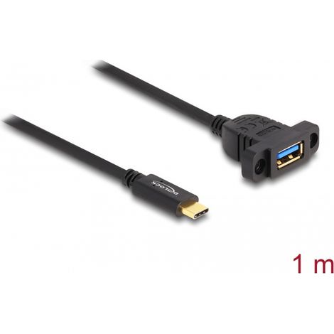 Delock SuperSpeed USB 10 Gbps (USB 3.2 Gen 2) Cable USB Type-Câ¢ macho a USB Tipo-A hembra 1 m para montaje en panel negro