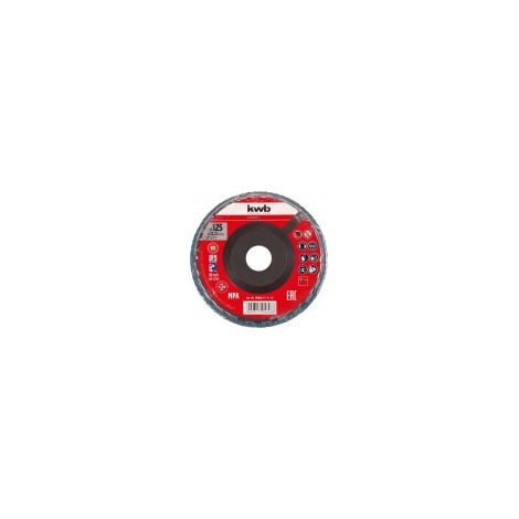 DISCO LAMELLARE IN ZIRCONIO DIAM. 125 MM GRANA 80 CON SUPPORTO IN PLASTICA
