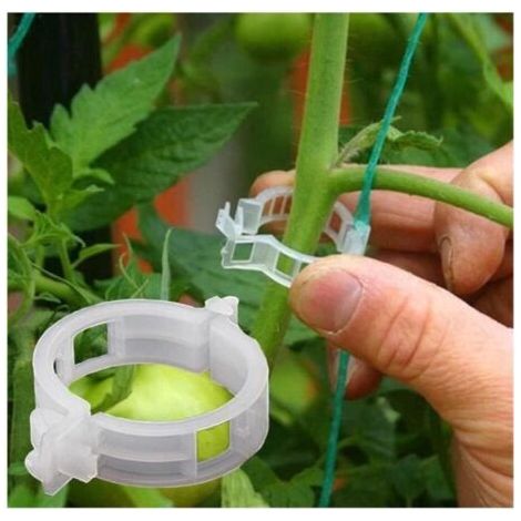 Pflanzenbinder – 100 Stück – Stütze für Kletterpflanzen – Garten – Weiß – Packung (1/5)
