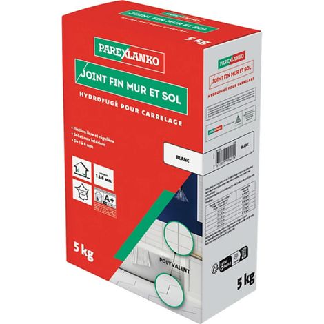 Feine Dichtung Wand und Boden PAREXLANKO - Weiß - 5 kg - 03421