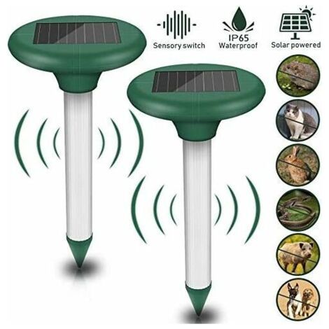 BUNTHAUS Lot de 2 répulsifs solaires anti-taupes - Répulsif solaire à ultrasons - Protection IP56 - Pour le jardin. (1/5)