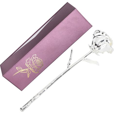 Fleur Artificielle Argentée 24K avec Tige Longue et Feuilles - Décoration Maison Luxe (1/5)