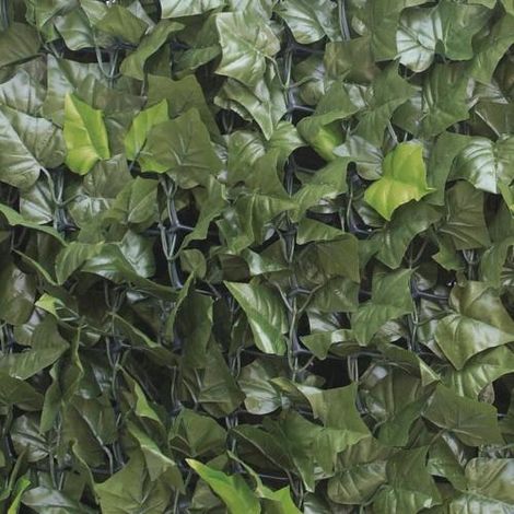 Siepe Sintetica Ornamentale per Terrazze e Giardino a Foglie di Edera H.1,5x3 mt Verde scuro (1/3)