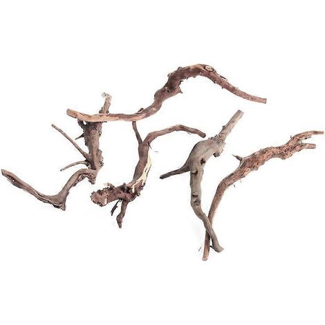 Bois flotté pour aquarium, branches de bois naturel pour reptiles, 18 cm x 28 cm, forme irrégulière - S (1/5)