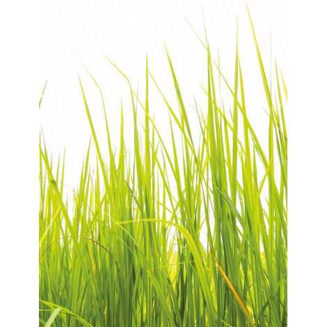 Papier peint panoramique 3D hautes herbes | Tapisserie panoramique plante verte & blanche | Papier peint panoramique nature pour salon - 192 X 260 cm (4 pièces) (1/2)