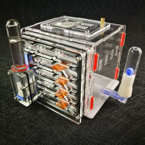Fourmilière à faire soi-même, aire d'alimentation, élevage de fourmis, villa à insectes en acrylique, cadeau idéal pour les fourmis domestiques (idée cadeau d'anniversaire).