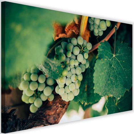 Tableau sur toile Raisin Plante Raisin Fruit 60x40 (1/5)