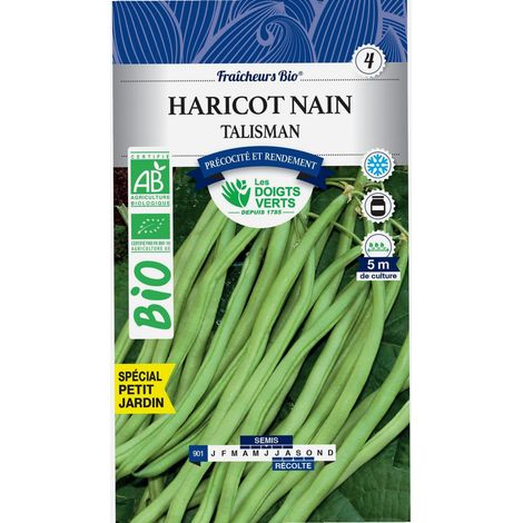 Graines haricot nain talisman BIO Les Doigts Verts 100g