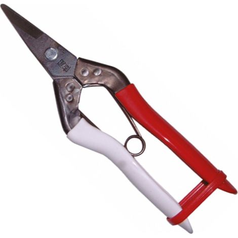 Okatsune 307 Hard Stem Floral Shears (1/2)