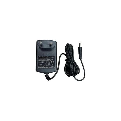 Europäisches Standard-Ladegerät (28,8 V DC, 500 mA) für Spielzeugautos und elektrische Kinderautos (Zubehör im Lieferumfang enthalten). EU-Stecker.
