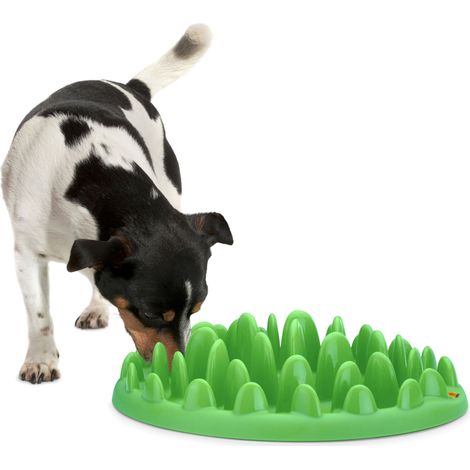 Gamelle plateau anti glouton 40 cm pour chien - Flamingo (1/5)