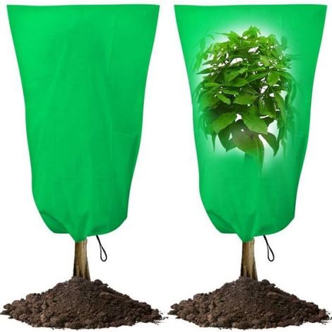 2pcs Housses d'hivernage pour Plantes, 180x120cm Couvertures avec cordon de serrage à fermeture éclair pour Contre Froid et Gel (1/4)