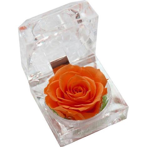 Rose éternelle préservée, jamais fanée, cadeau idéal pour la Saint-Valentin, un anniversaire ou toute autre occasion, avec coffret cadeau à tiroir (orange)-4.54.5cm (1/3)