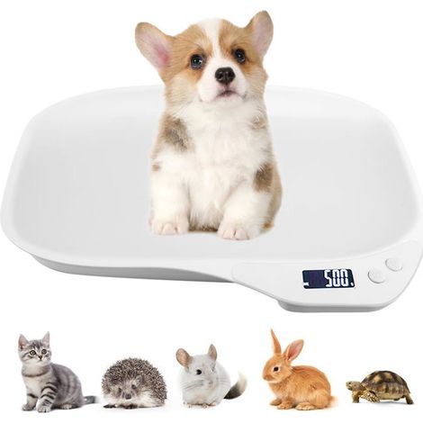 BelleRise - Pèse-Animal Numérique Multifonction, Pèse-Chien pour Petits Animaux, 15 Kg (± 1 G), pour Chatons, Chiots, Hamsters (1/5)