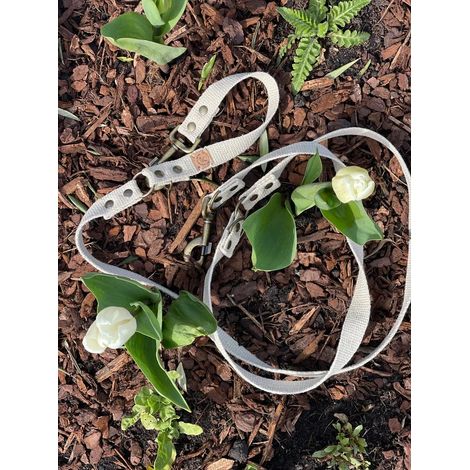 Laisse réglable pour chien en chanvre naturel robuste 2,20 m coloris blanc écru - PANGIVO (1/2)