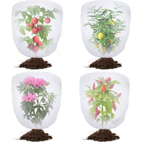 Set di 4 reti antiparassitarie da giardino con coulisse, rete anti-uccelli per la protezione del giardino – rete antizanzare per pomodori, copertura protettiva per piante da giardino per ortaggi e mir (1/5)