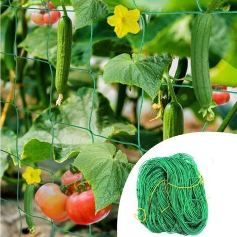 Filet pour Plantes Grimpantes Treillis Jardin Filet 2m x 5m Support Plante Grimpante Filet de Fixation Filet de Jardin pour Plant (1/4)