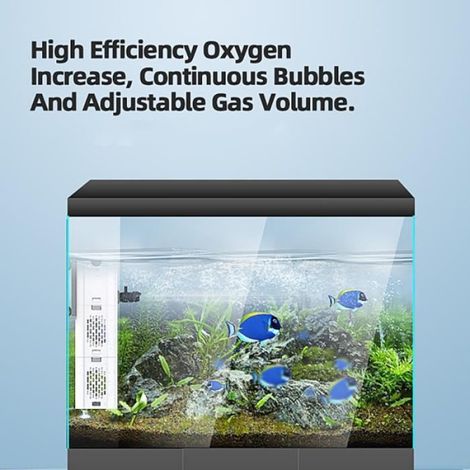 Filtre Interieur - 15 W - Debit 1000 L/H - Pour Aquarium - 1 Unite (1/4)