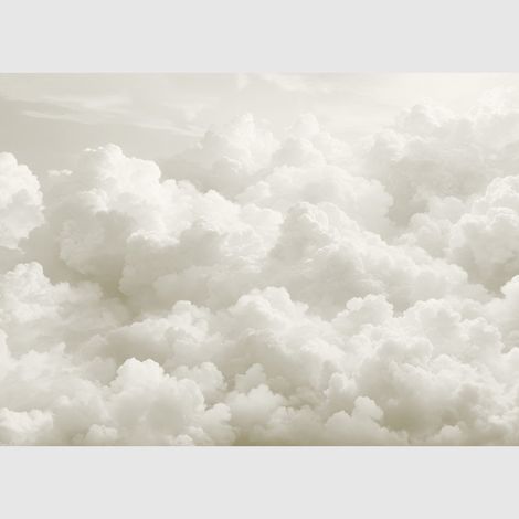 Papier peint intissé - Nuages gris - 375x270 cm
