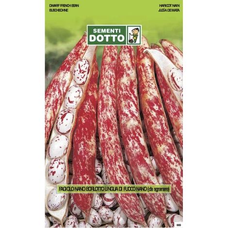 FAGIOLO BORLOTTO NANO LINGUA DI FUOCO