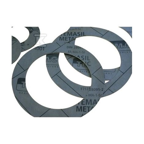 Guarnizione flangia DN20 PN16. Coppia rinforzata