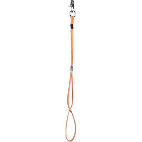 Set 7 pezzi guinzaglio a laccio da tavolo da toelettatura per cani e gatti con moschettone di aggancio 50 cm
