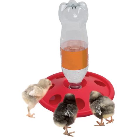 Abreuvoir porte bouteille pour poussins et cailles Diamètre 24 cm OLBA (1/3)