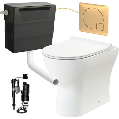 Rimless D Shape Back to Wall Toilet Pan with Soft Close Seat & Concealed Cistern Brushed Brass Plate Button (1/5)