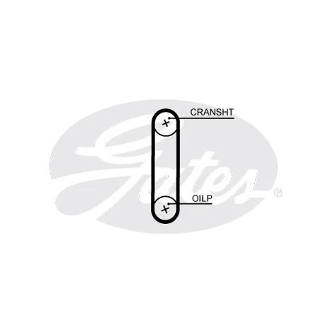 Courroie crantée Gates T357HOB FORD 1761082 CM5G6B651EA