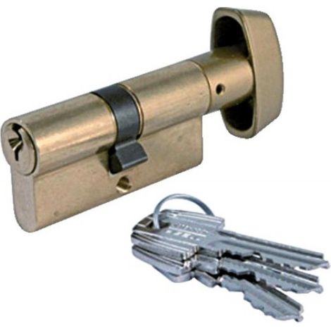 Cylindre double à bouton TE 5 laiton poli sur passe général 30B x 30 - TESA SA (1/2)