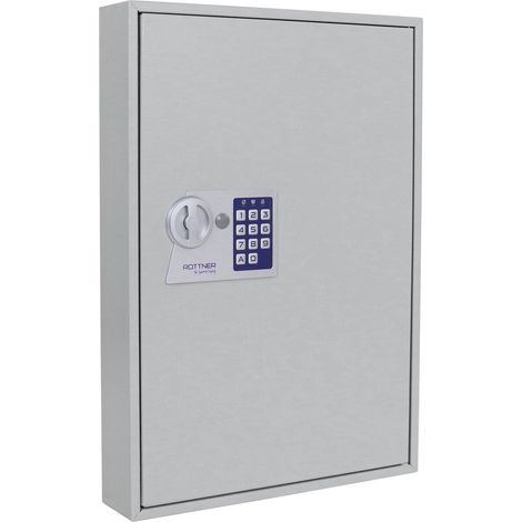 Armoire à clés S 100 H550xL380xP80mm 1 porte sans numéro Hak.100 ROTTNER (1/5)