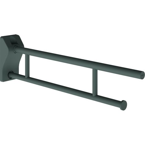 KWC AR Stützklappgriff, MEDCARE, Edelstahl, grau, 113x234x850 mm, WC-Rollenhalter (1/2)
