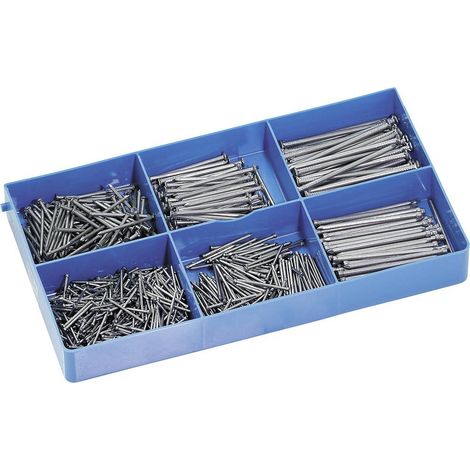 Sonstige – Assortiment de clous à tête d'homme 750 pièces – Galvanisé – 6 tailles de 20 à 55 mm – Coffret plastique inclus