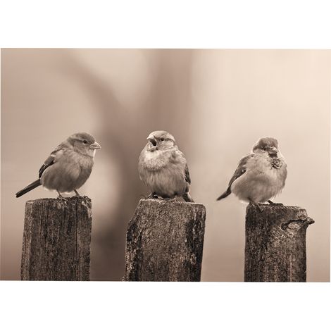 Art for the Home Outdoor Leinwandbilder Vogel 50x70cm