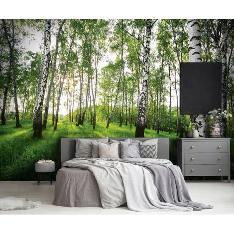 Vlies Fototapete Wald 150x105 cm, Tapeten, für Wohn und Schlafzimmer, Vliestapete Wandtapete Tapete 3D Effekt- inkl. Kleister - Birken Landschaft Natur grün, WallArena (1/4)