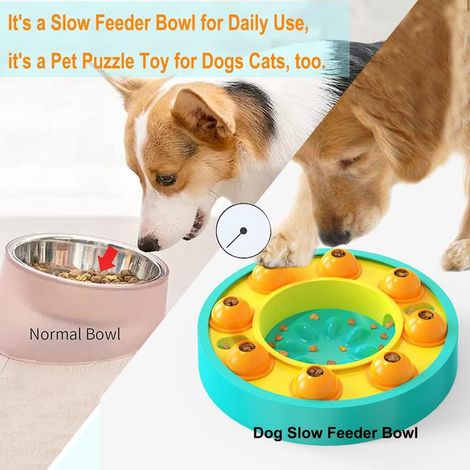 Jouet interactif pour chiens et chats, gamelle d'entraînement à alimentation lente pour stimulation mentale et développement de l'intelligence (1/5)