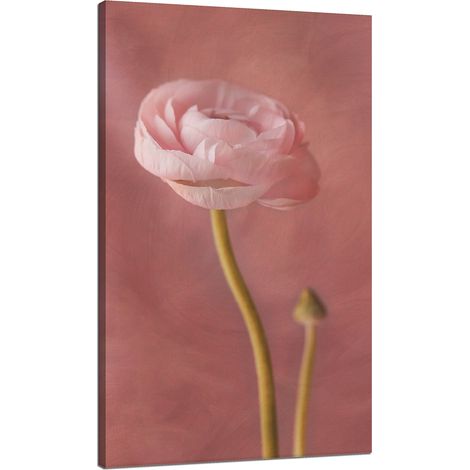 Lienzo impreso Botánica Peonía rosa 70x120 cm