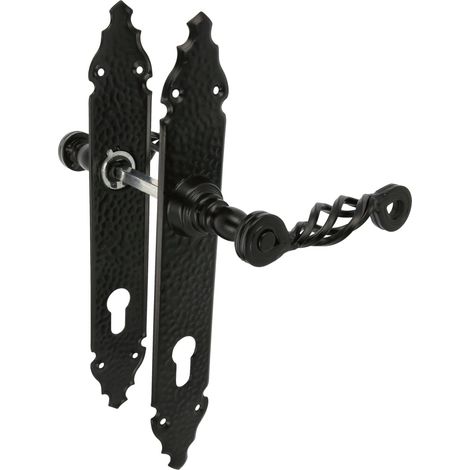 AMIG Poignées sur plaque à cylindre 102PB 280 x 44 mm Plaque d'acier, Poignée zamak Noir (1/5)