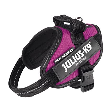 Pettorina IDC Julius K9 Powerharness (ITA) - Fucsia - Accessori