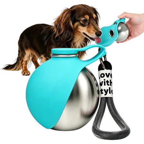 Gourde pour chien - 285 ml - En acier inoxydable - Avec gamelle pliable en silicone - Anti-fuite et compacte - Pour les promenades, la randonnée et les voyages - Bleu (1/5)