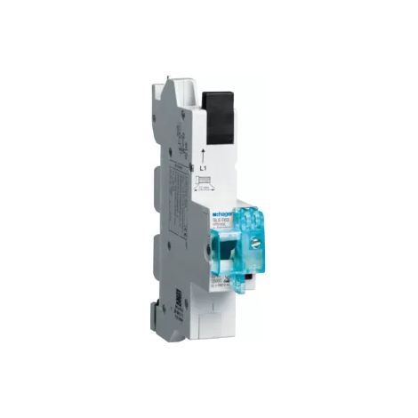 Hager SLS-Schalter 1P E-63A,für SS HTS163E (1/2)