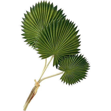 Feuille artificielle sans entretien fraîcheur longue durée pour intérieur et extérieur - B-Green (1/5)