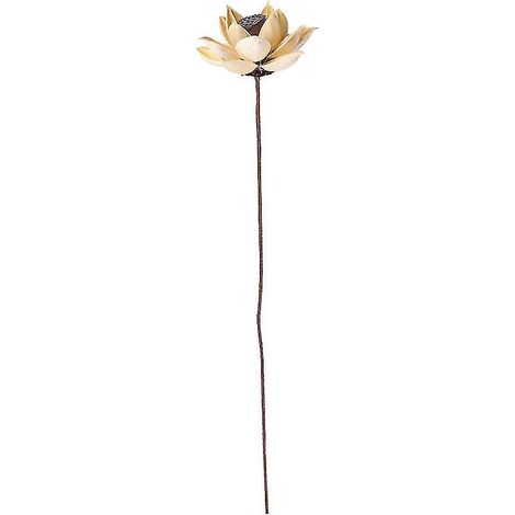 Ornement de fleurs séchées à usage décoratif
